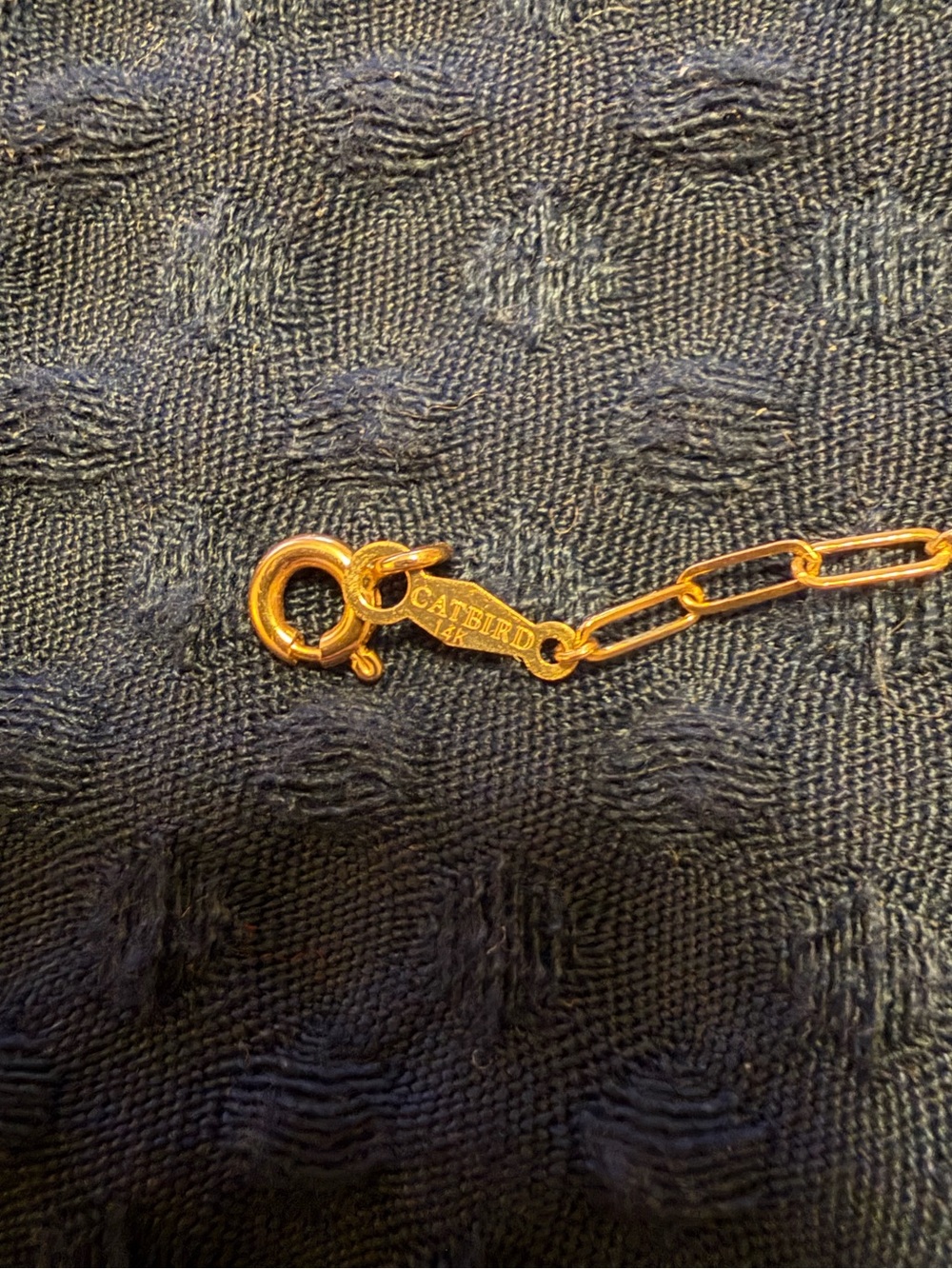 Catbird “1976 Choker” in 14k Gold - Picture 3 of 9